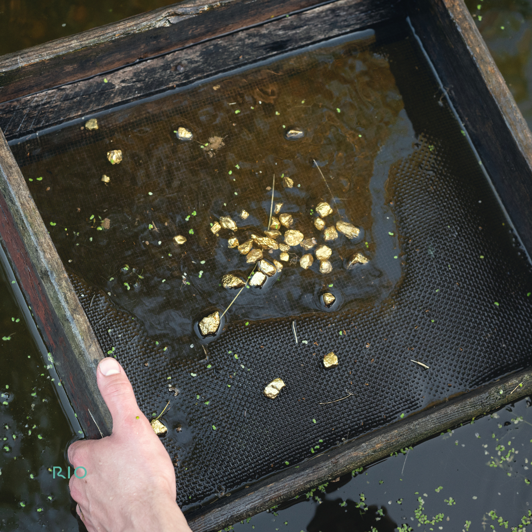 Reach International Outfitters