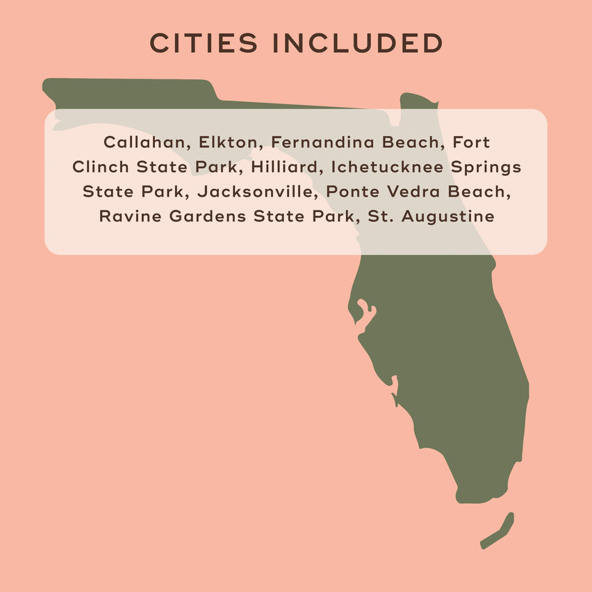 Jacksonville Adventure Bucket List - Reach International Outfitters
