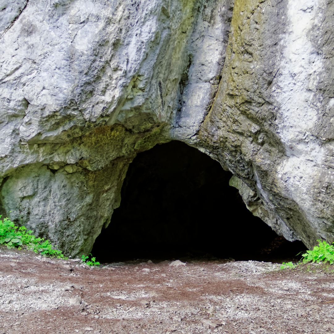 Reach International Outfitters