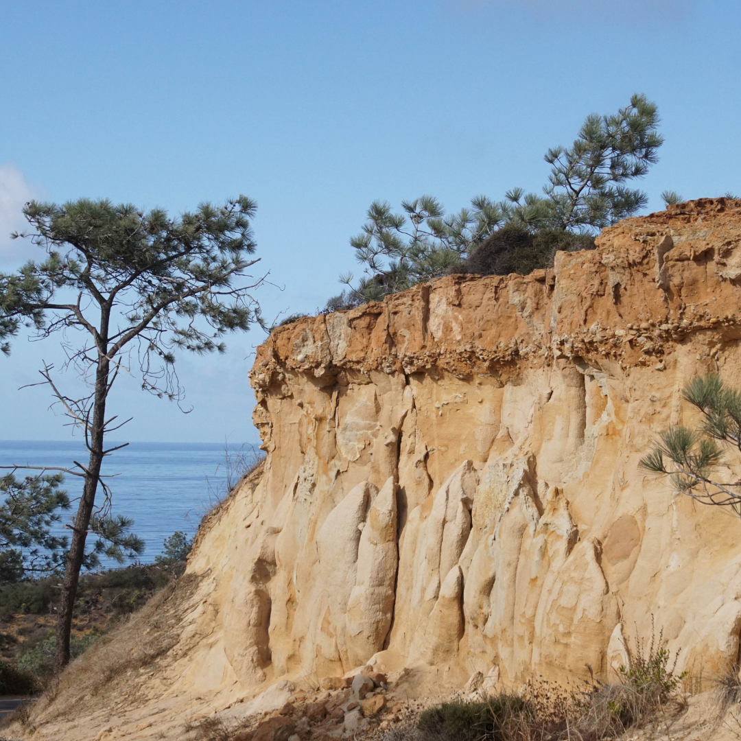 Reach International Outfitters