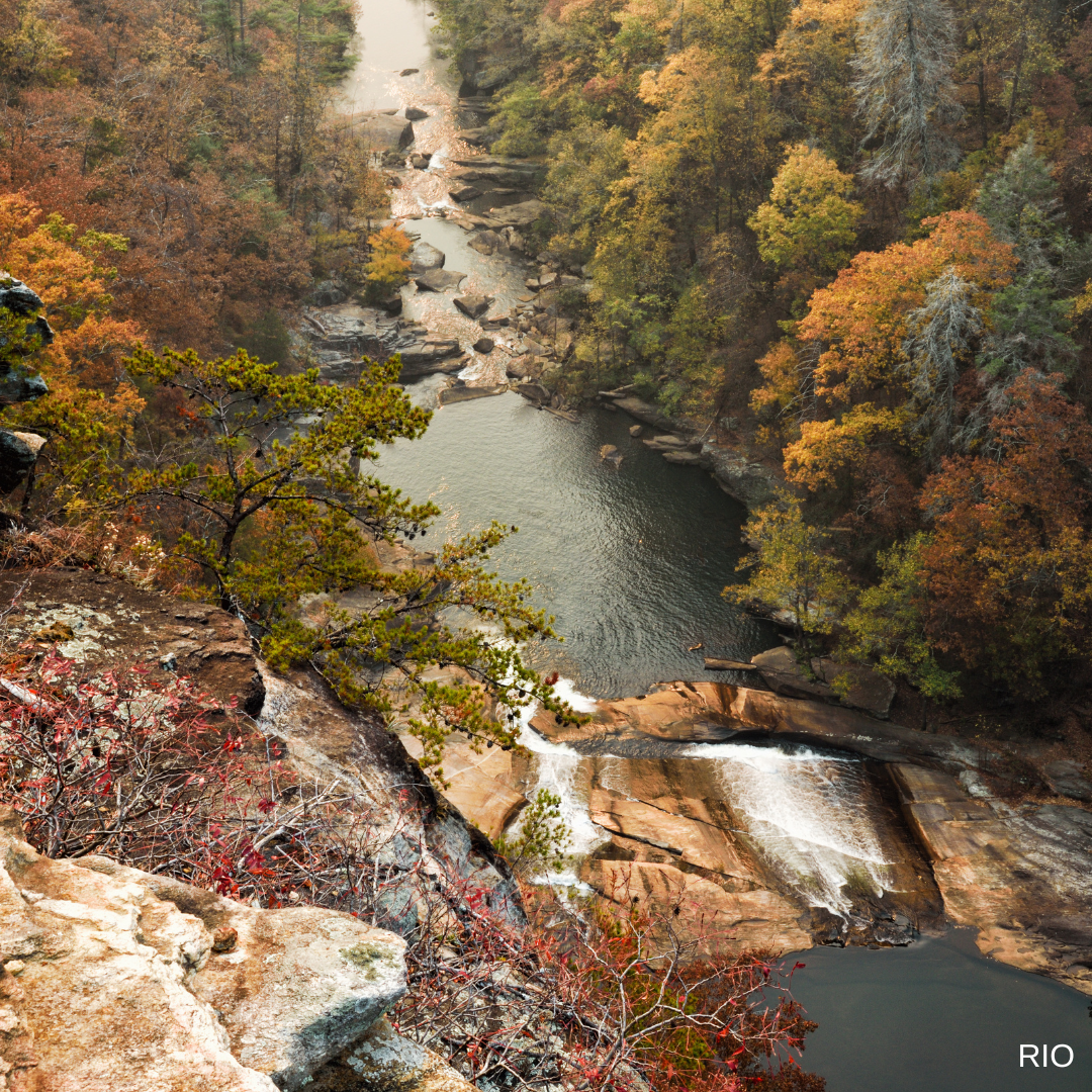 Reach International Outfitters