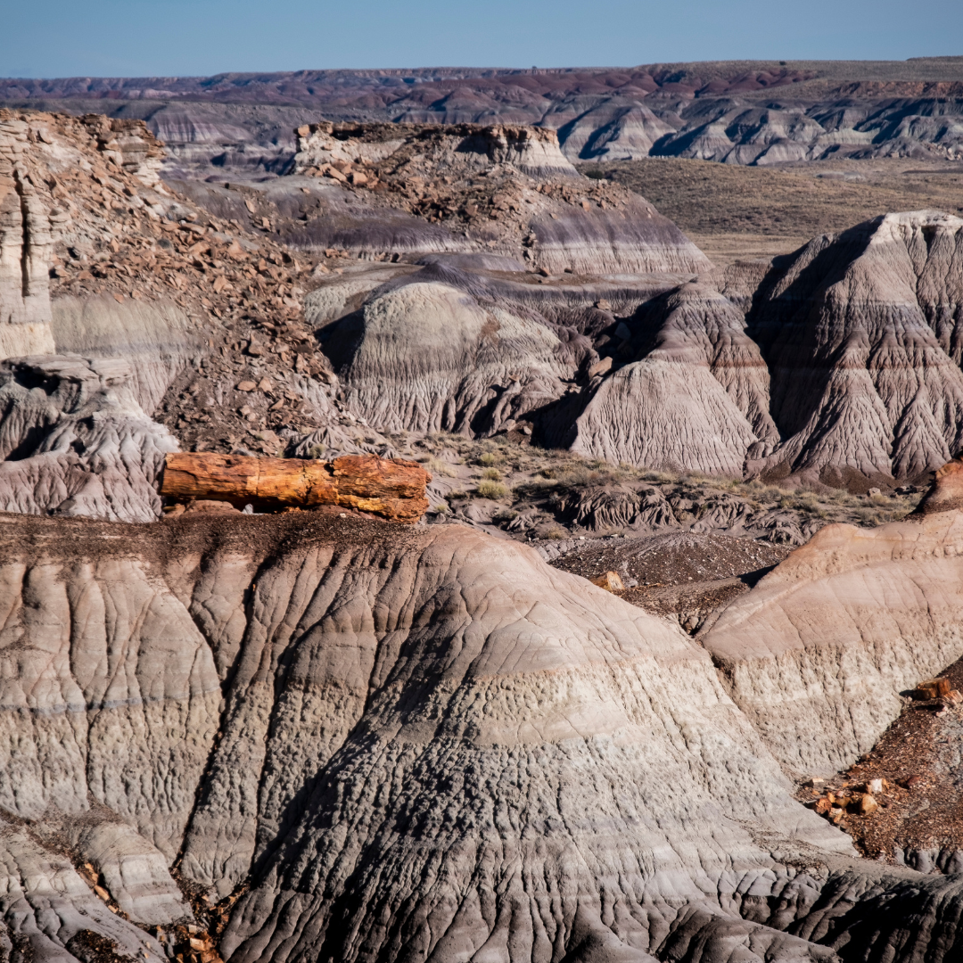 Reach International Outfitters