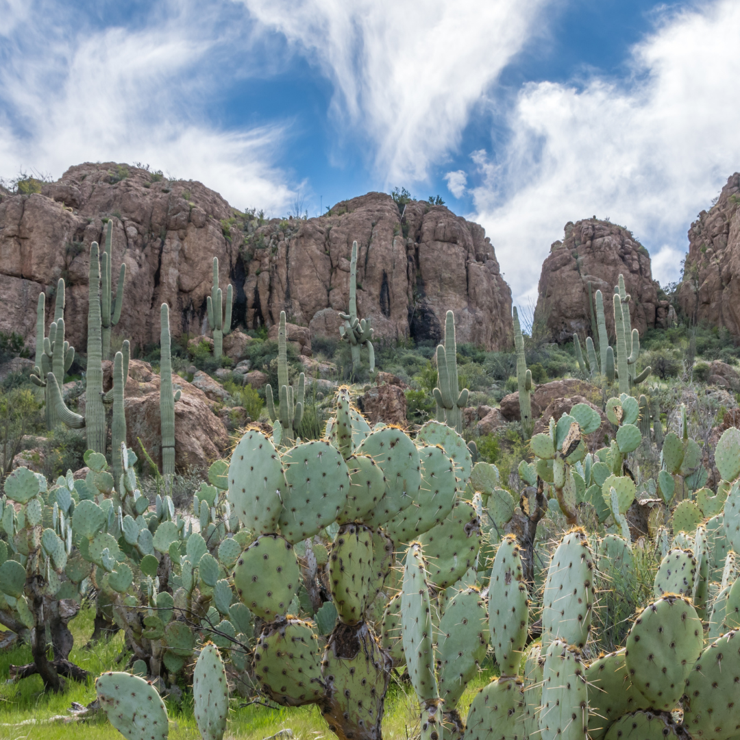 Reach International Outfitters