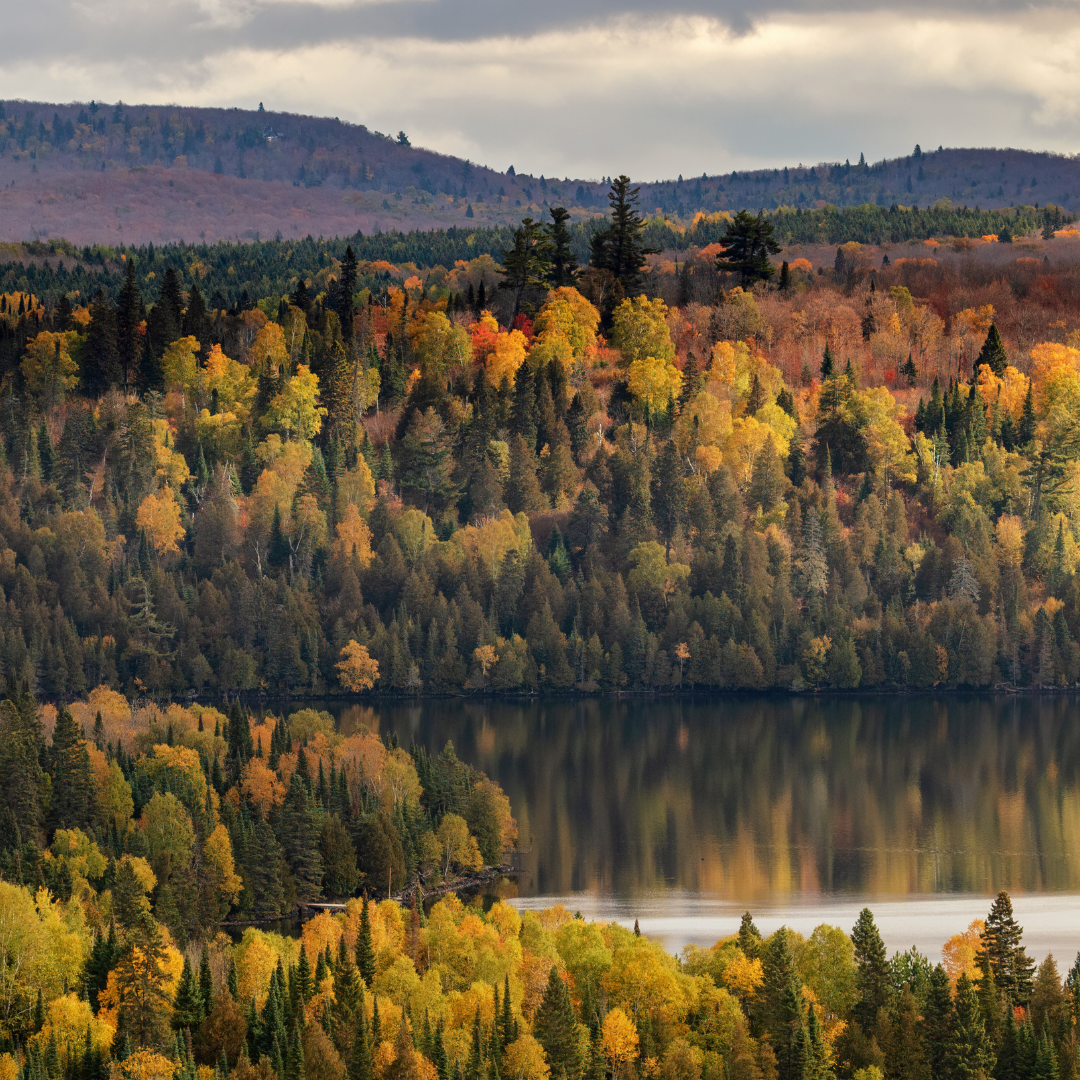 Reach International Outfitters