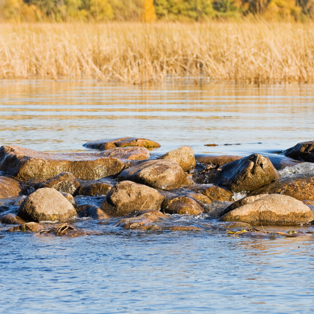 Reach International Outfitters