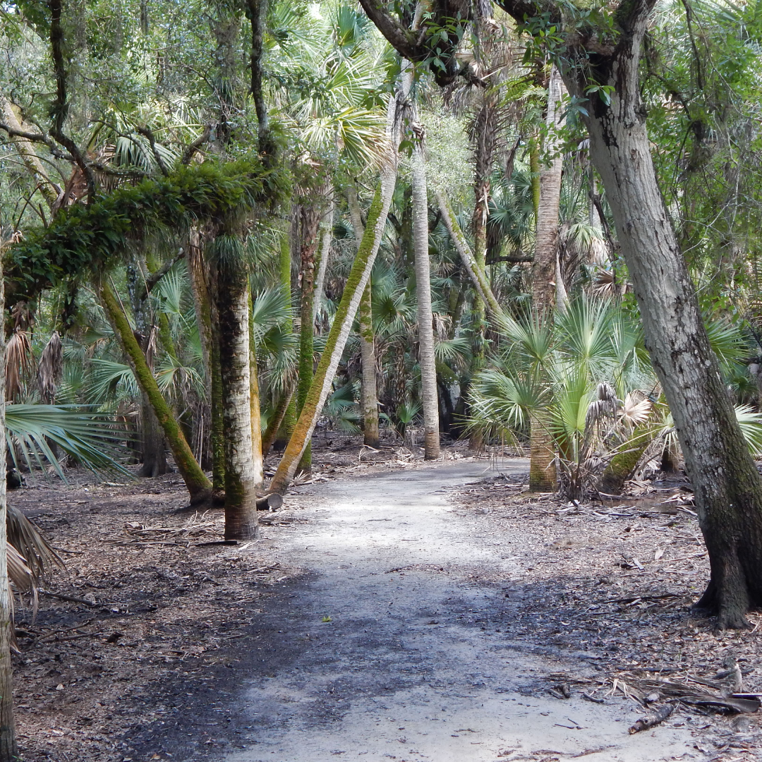 Reach International Outfitters