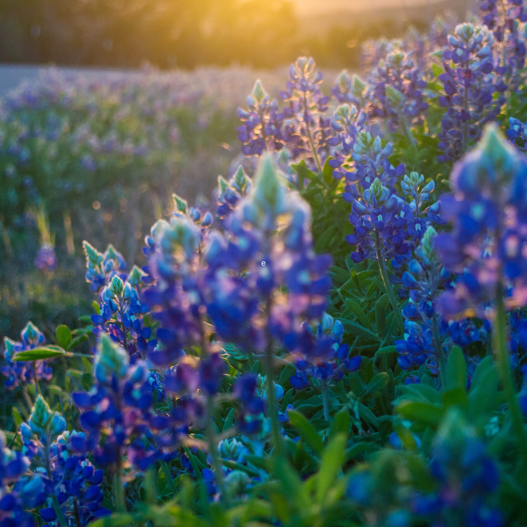 Reach International Outfitters