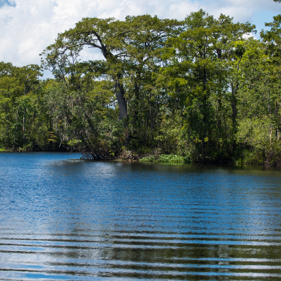 Reach International Outfitters