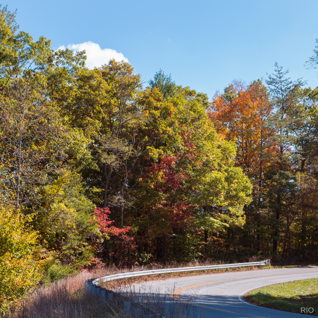 Reach International Outfitters
