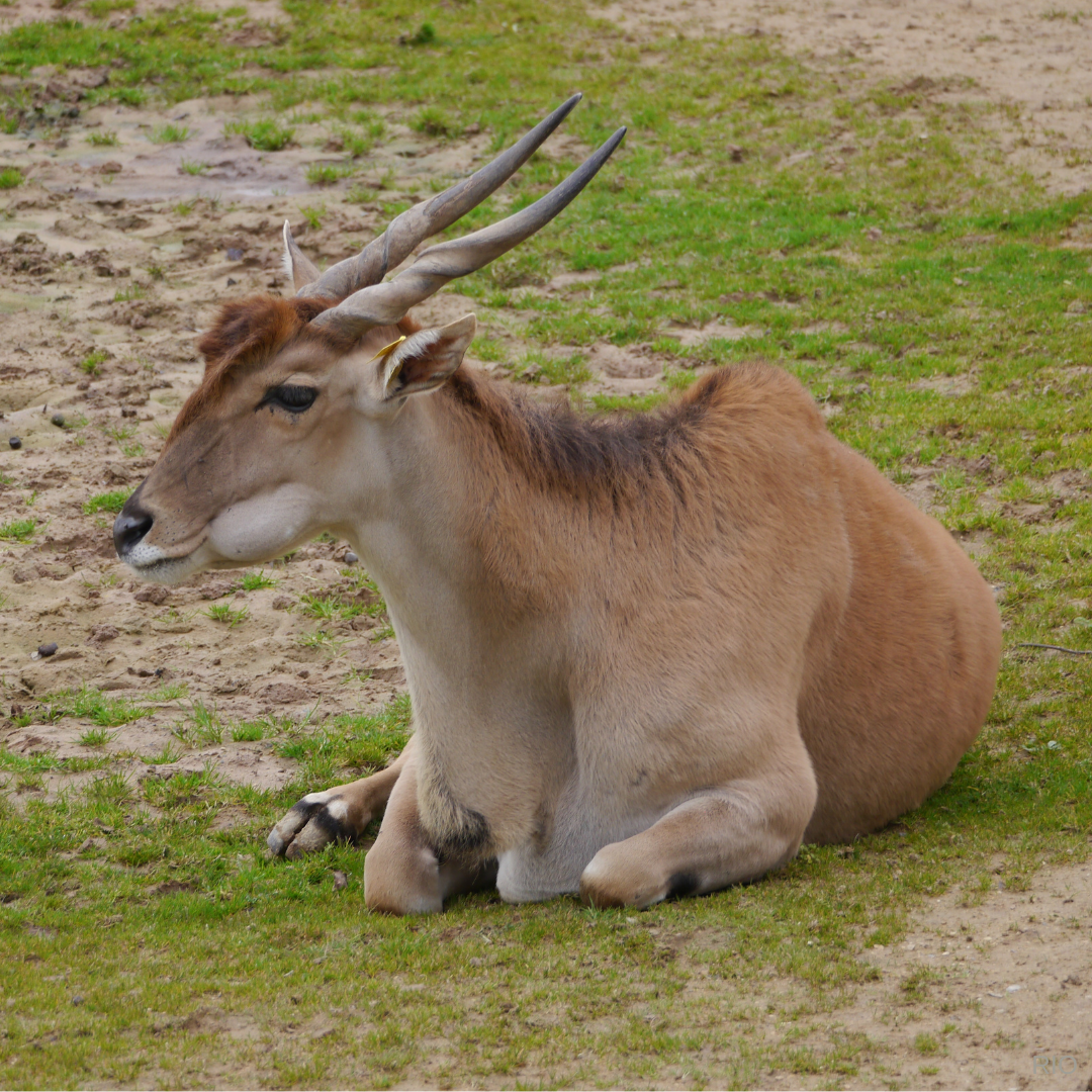 Reach International Outfitters