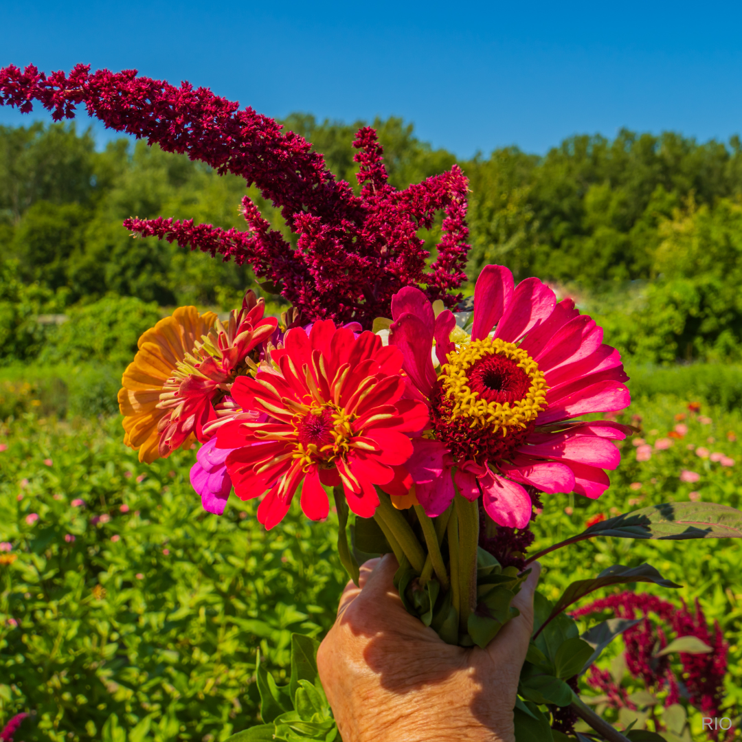 Reach International Outfitters