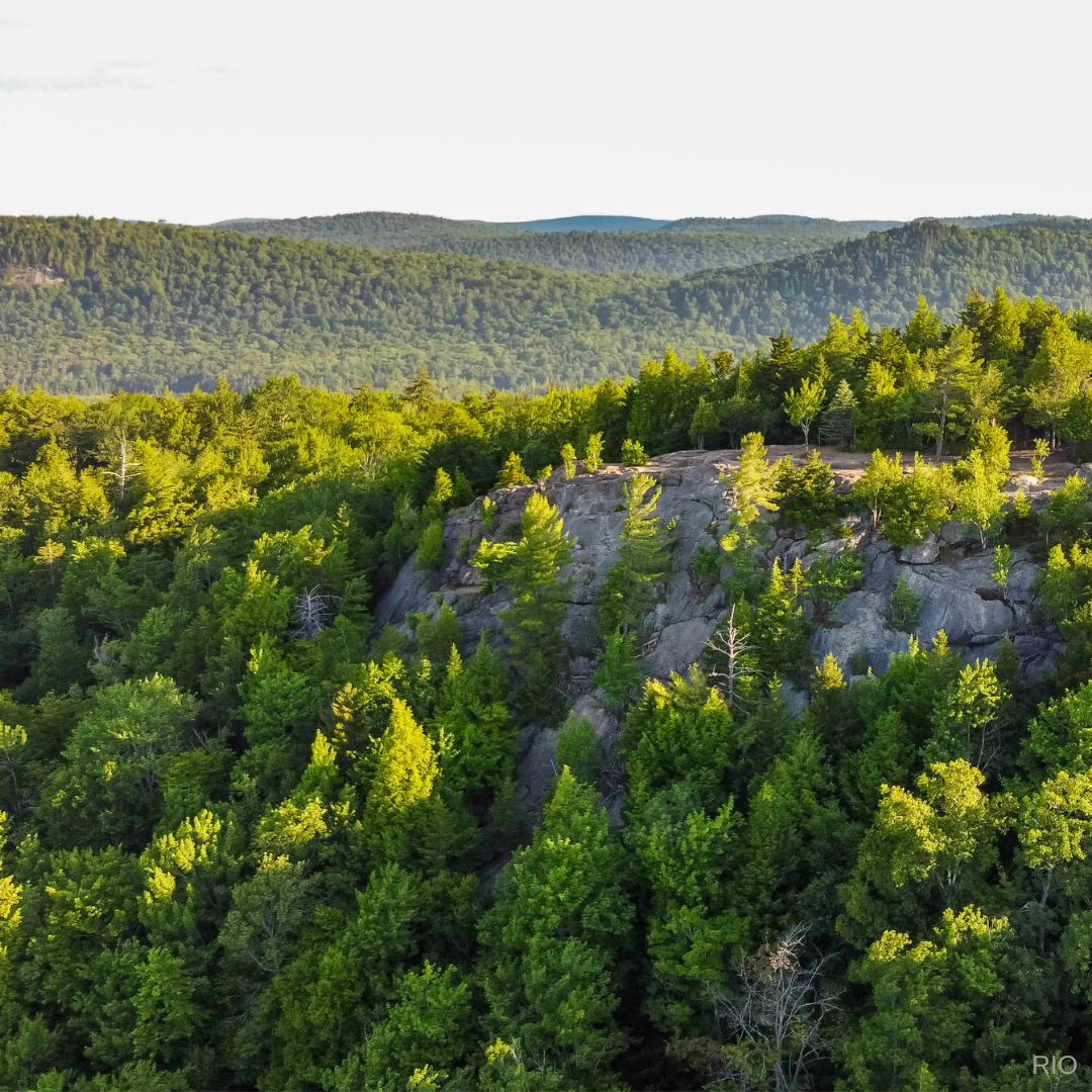 Reach International Outfitters