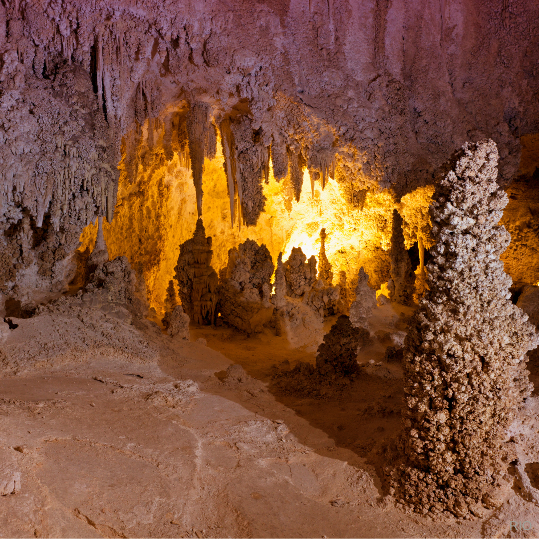 Reach International Outfitters