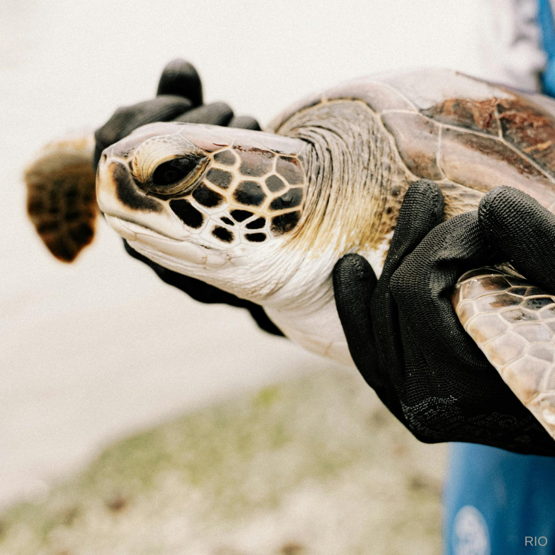 Reach International Outfitters