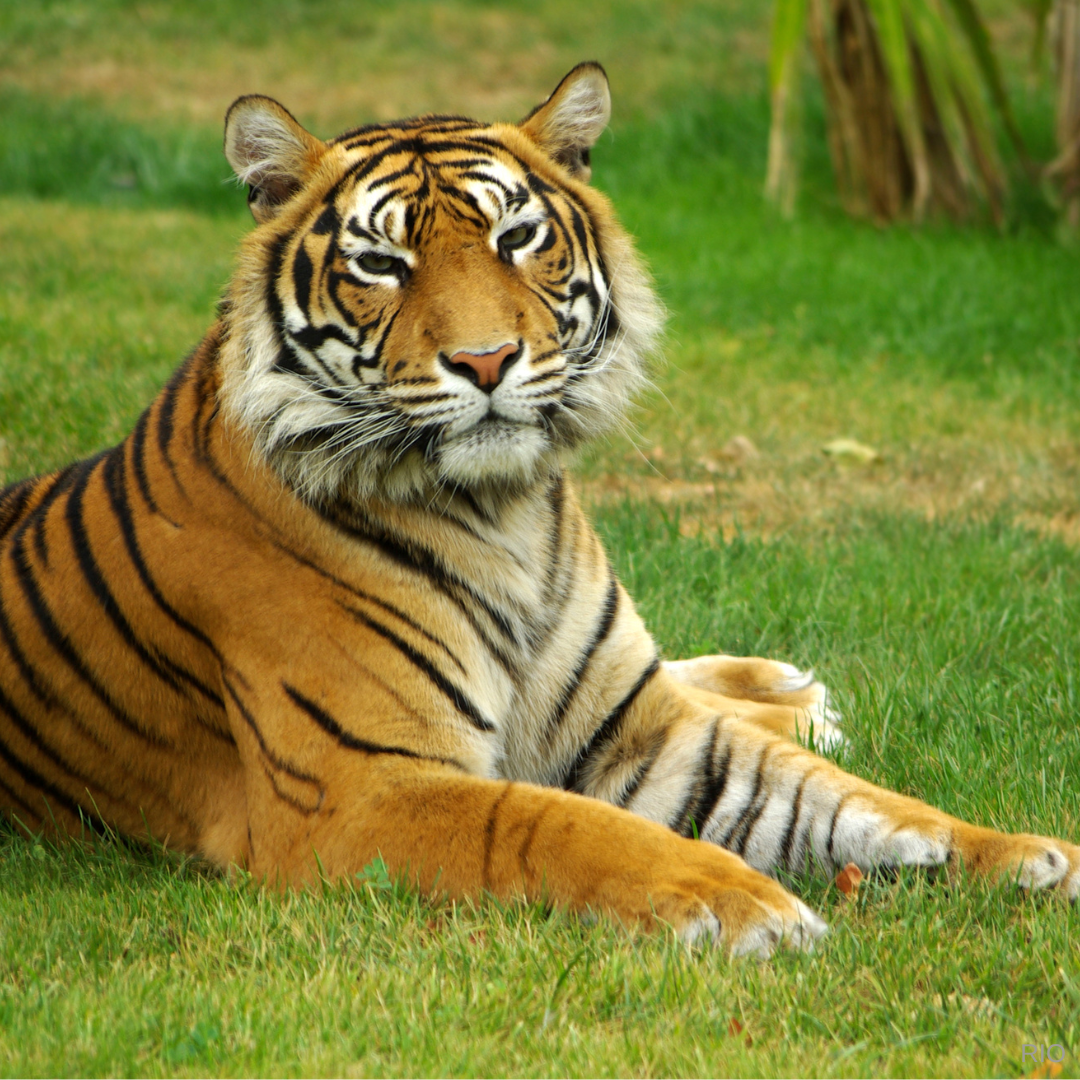 Reach International Outfitters