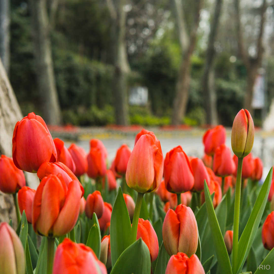 Reach International Outfitters