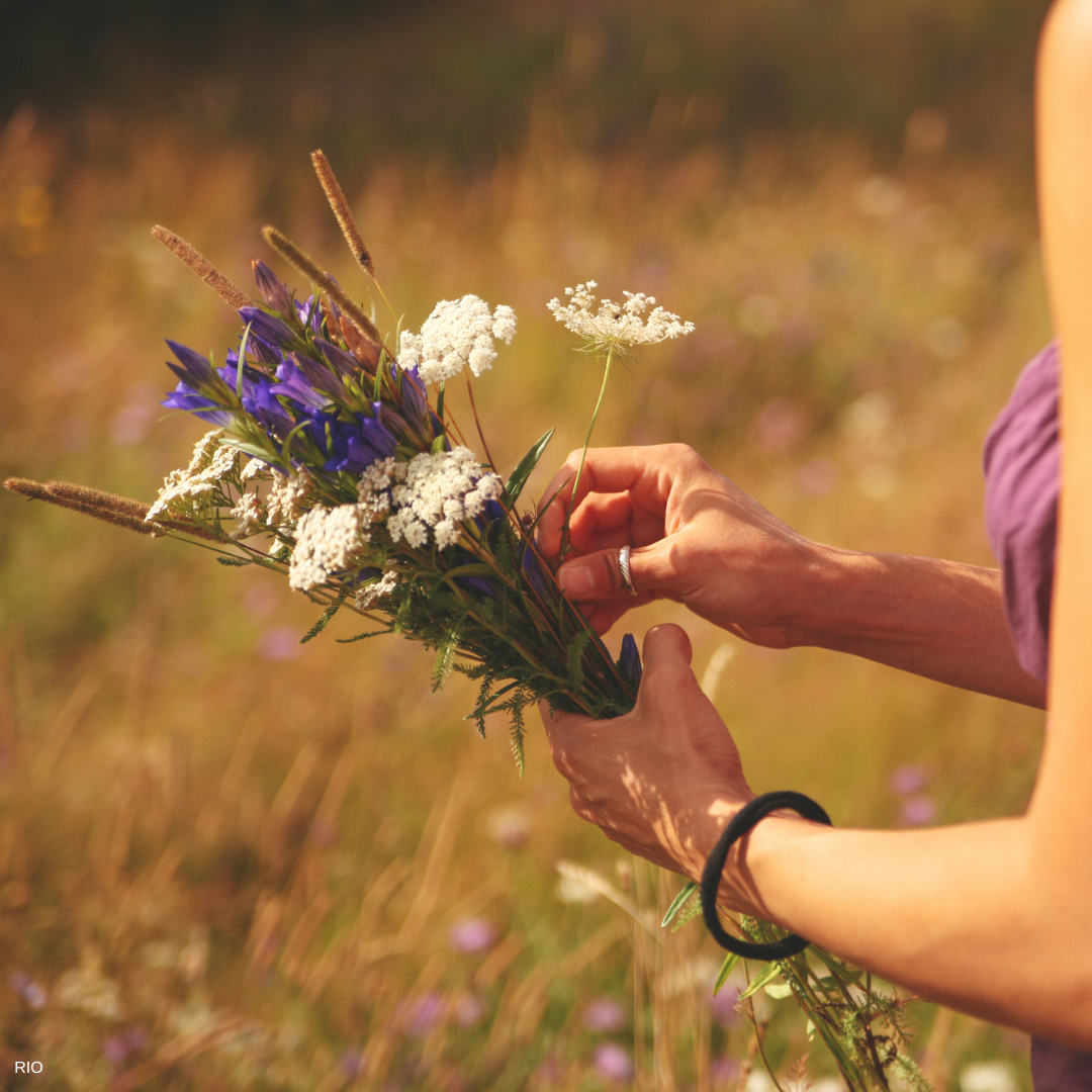 Reach International Outfitters